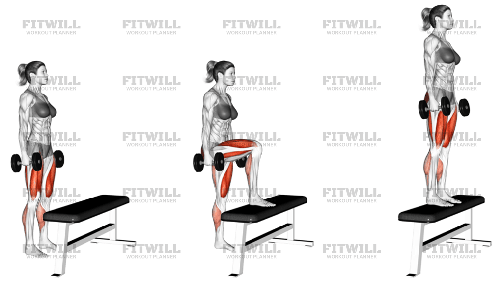 Dumbbell Step Up: Exercise Guide, Video, Techniques, Benefits, How to ...