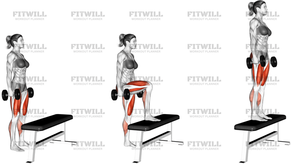 Dumbbell Step-Up