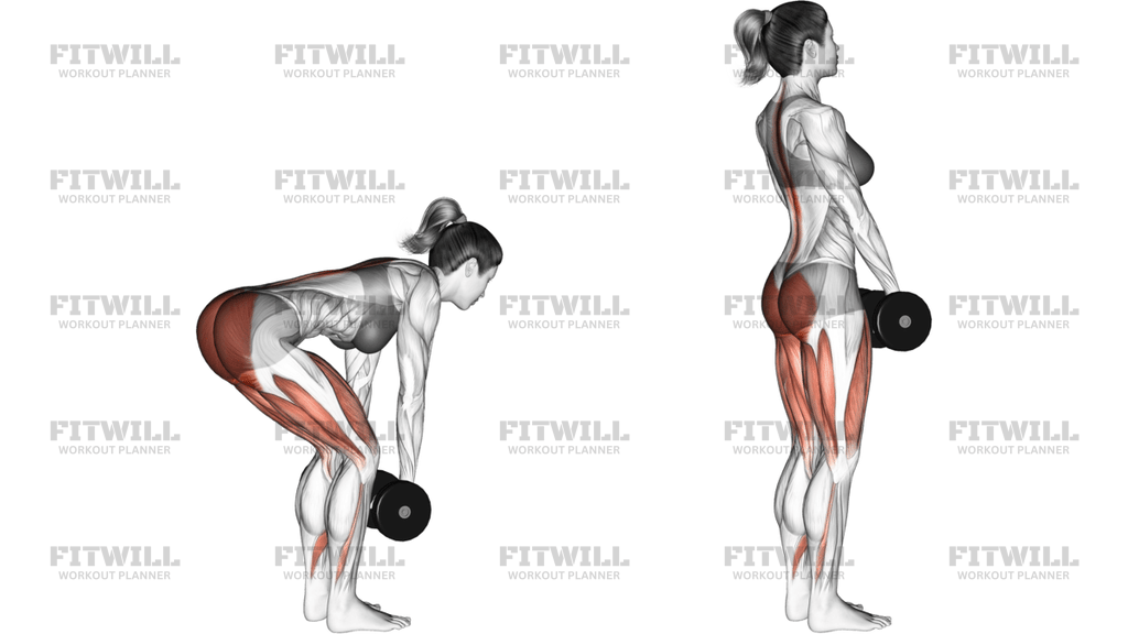 Dumbbell Romanian Deadlift