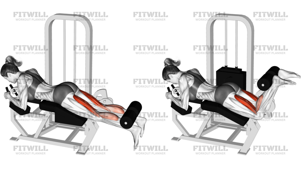 Lever Lying Leg Curl