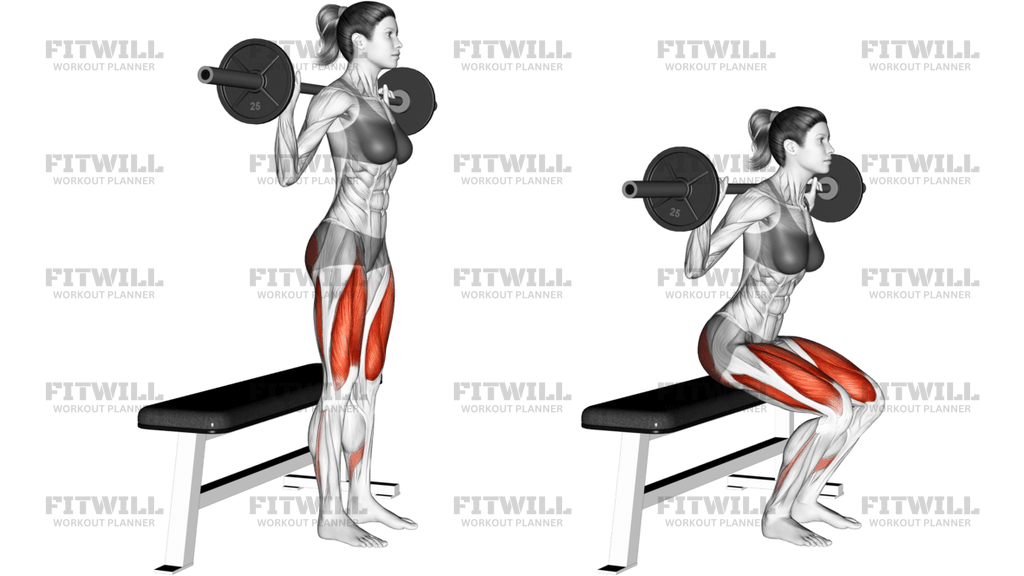 Barbell Bench Squat