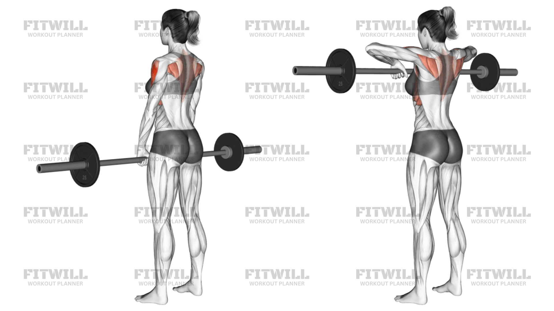 How to do Barbell Upright Row: Techniques, Benefits, Tips & Tricks ...