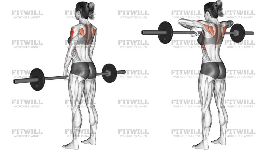 Barbell Upright Row