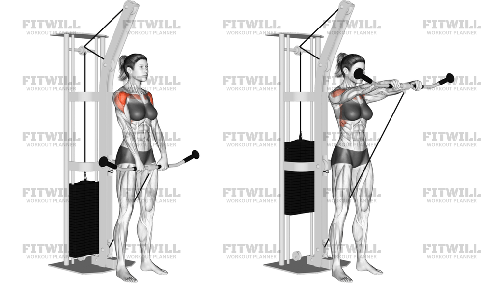 Cable Front Raise
