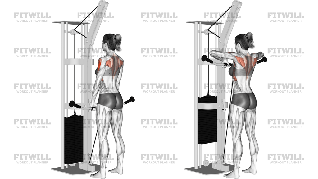 Cable Upright Row