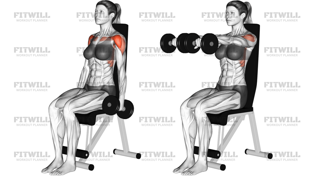Dumbbell Seated Front Raise