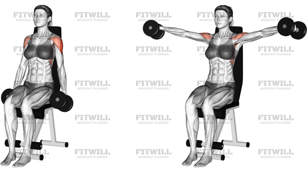 Dumbbell Seated Lateral Raise