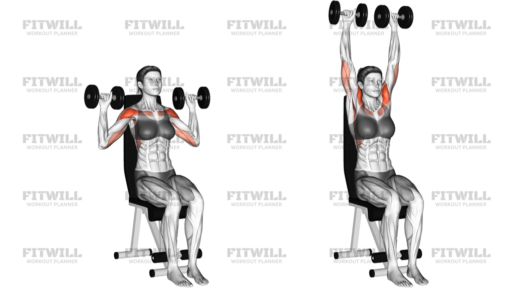 Dumbbell Seated Shoulder Press