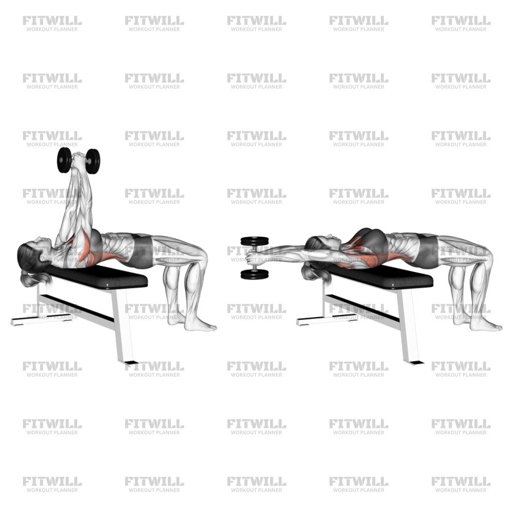 Decline dumbbell pullover muscles worked hotsell