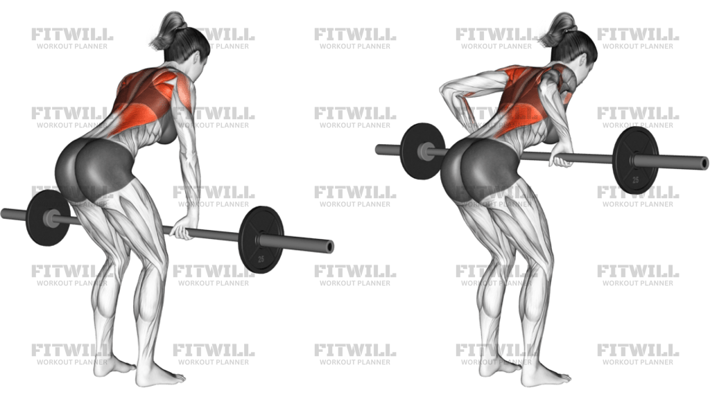Barbell Bent-Over Row