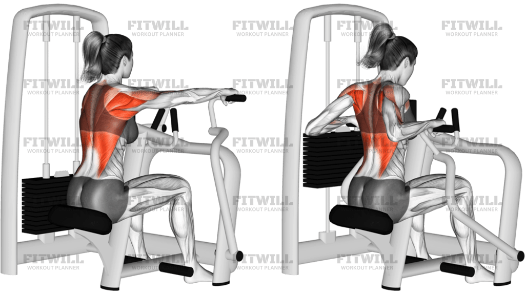 Lever Seated Row
