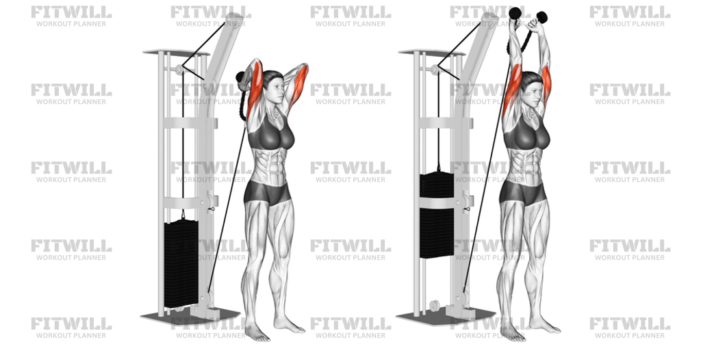 Cable Rope Overhead Triceps Extension: Exercise Guide, Video ...