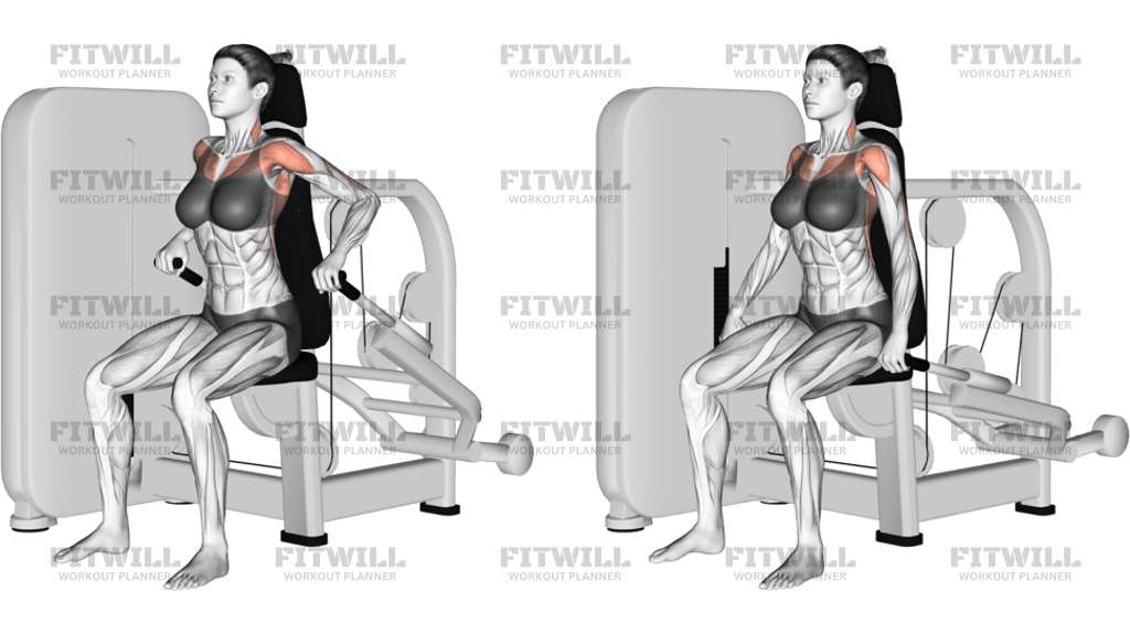Lever Seated Dip