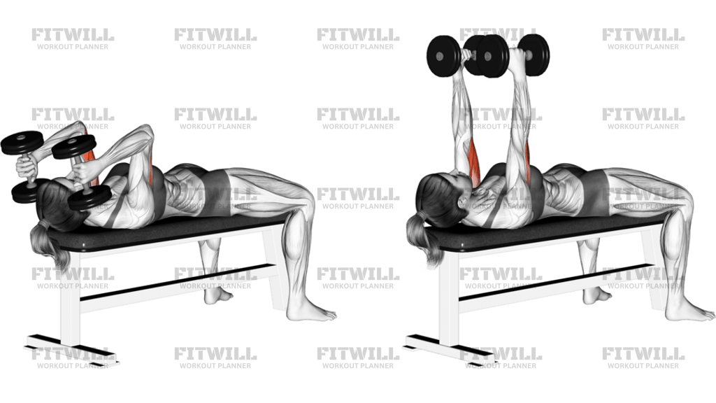 Dumbbell Lying Triceps Extension