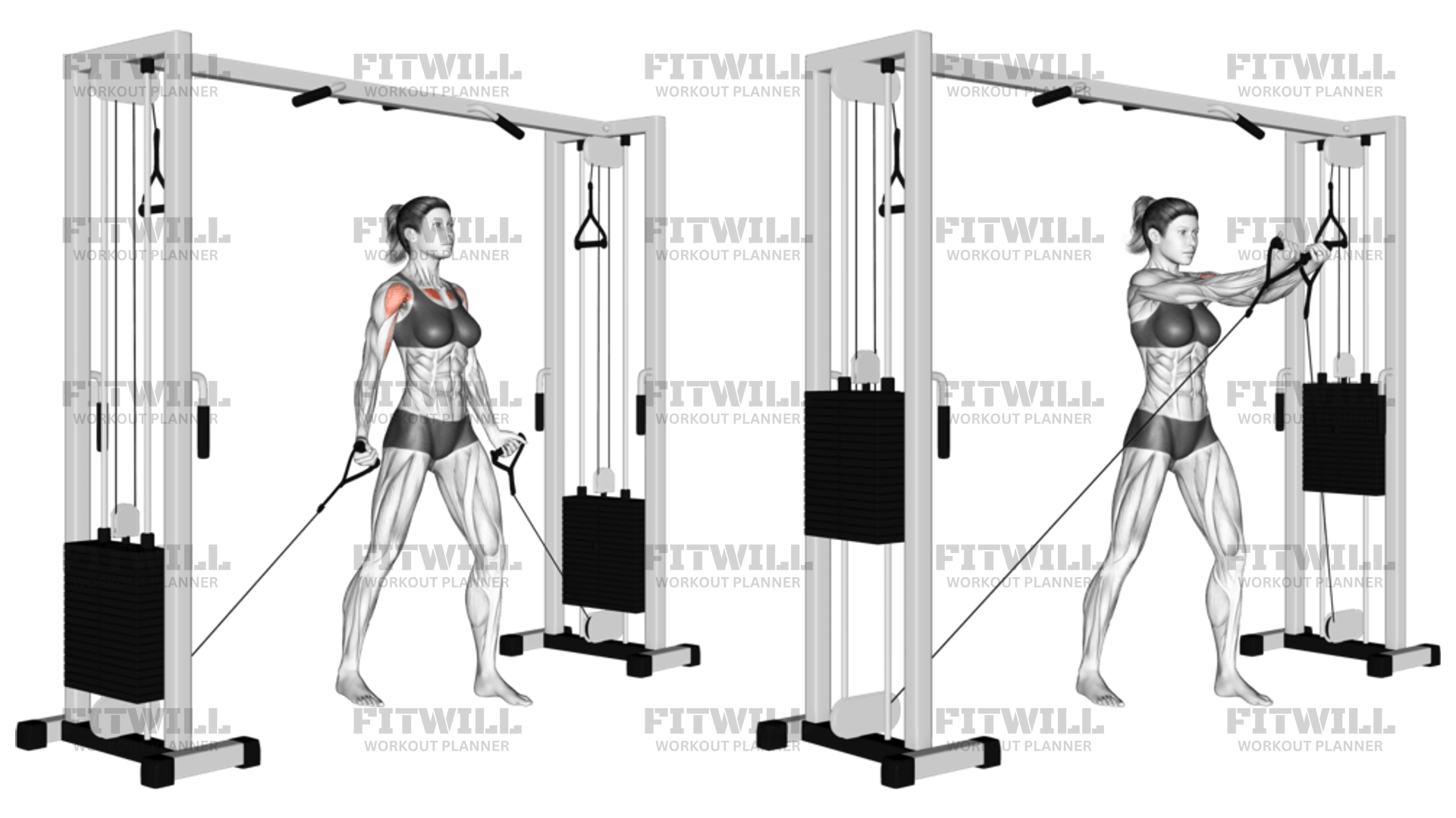 Cable Low Fly: Exercise Guide, Video, Techniques, Benefits, How to ...