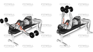 Dumbbell Fly