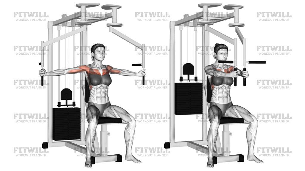 Lever Seated Fly: Exercise Guide, Video, Techniques, Benefits, How to ...
