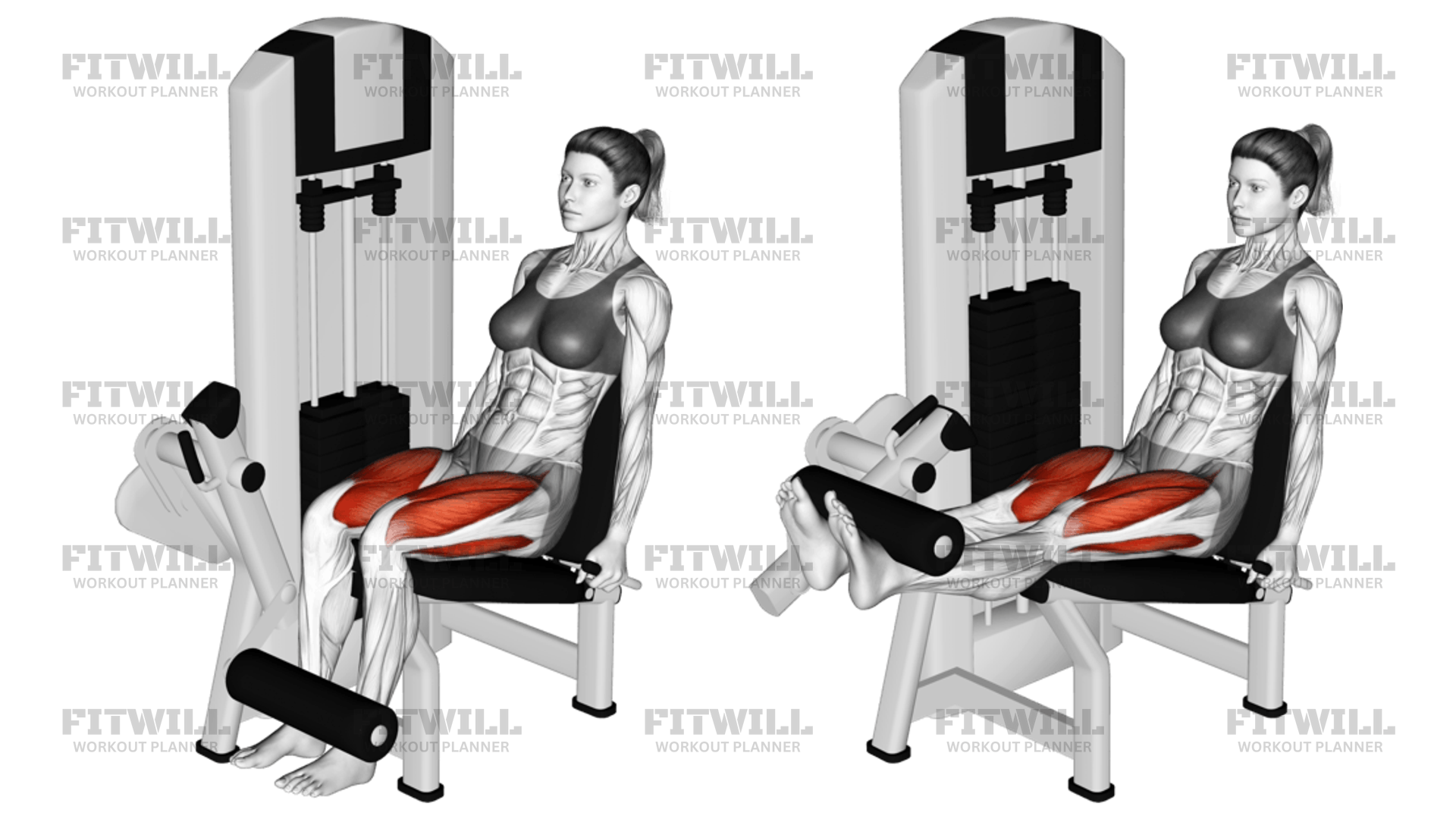 Leg levers exercise hotsell