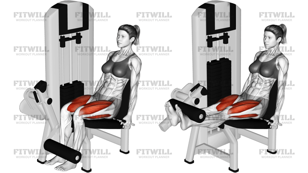 Lever Leg Extension