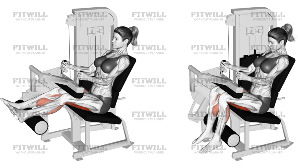Lever Seated Leg Curl
