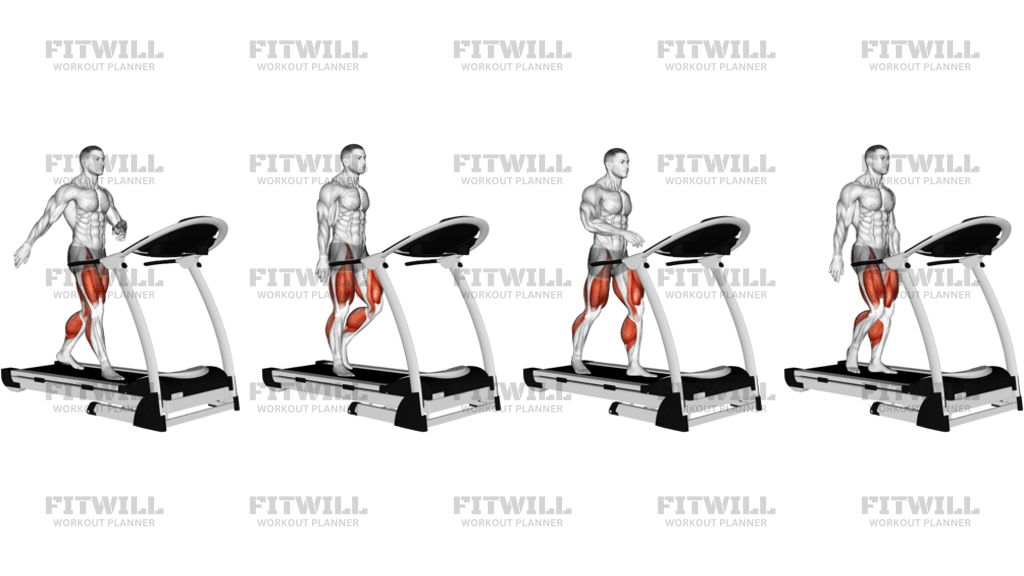 Walking On Treadmill