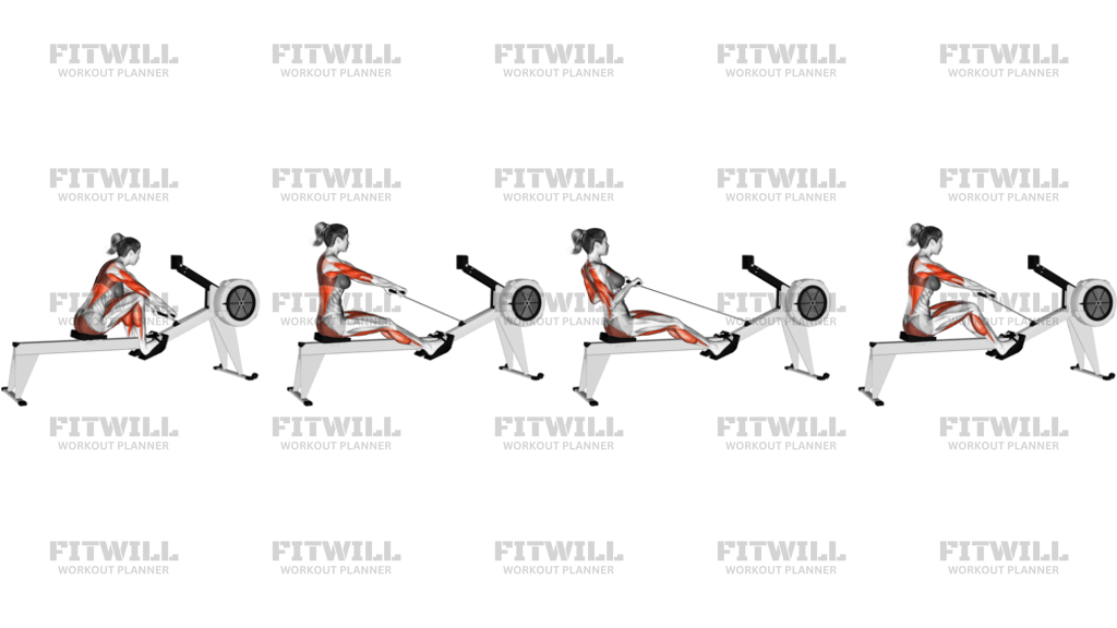 Rowing With Rowing Machine
