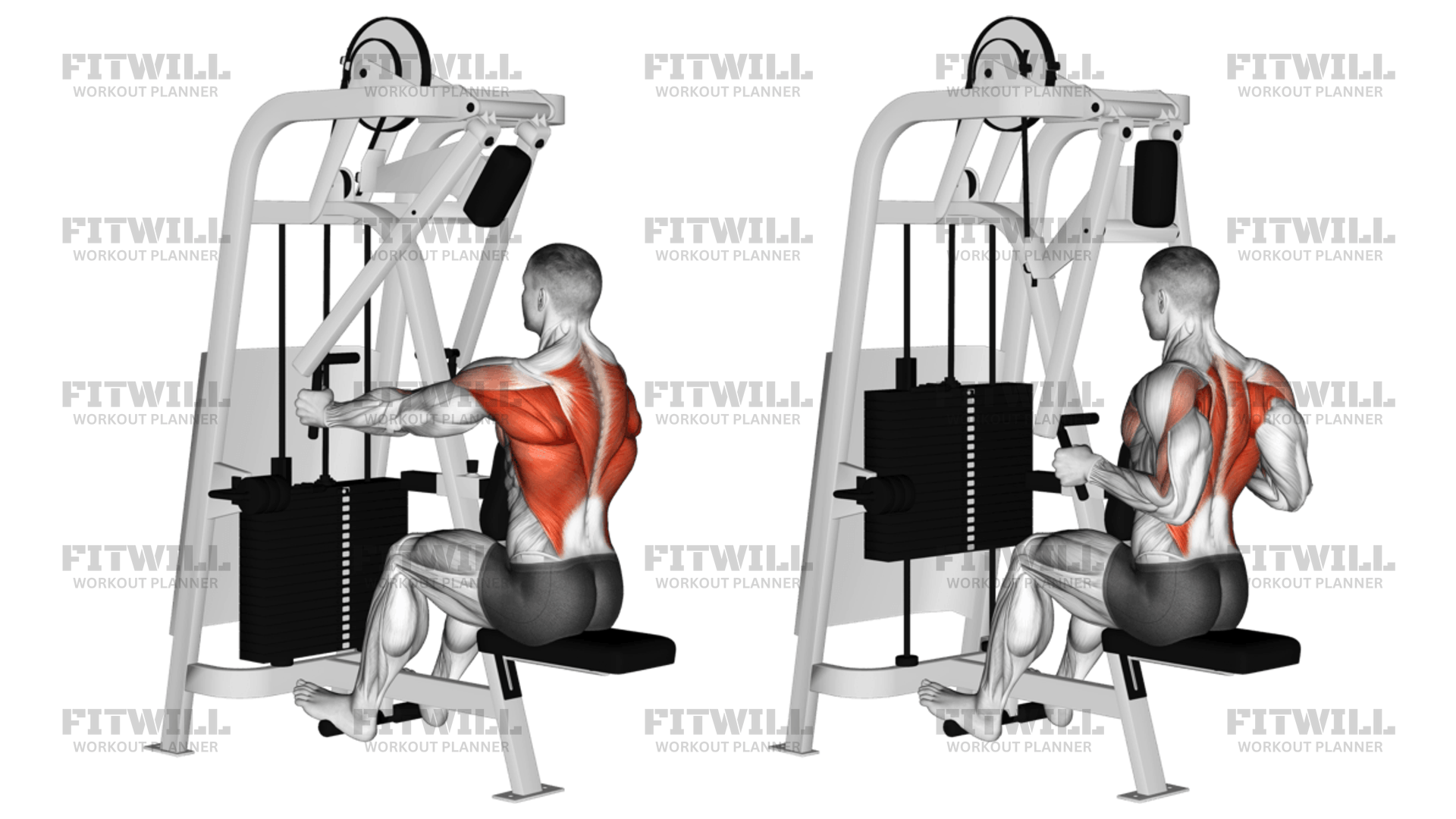 Lever Seated Row (version 2): Exercise Guide, Video, Techniques ...