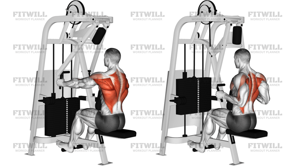 Lever Seated Row Version 2