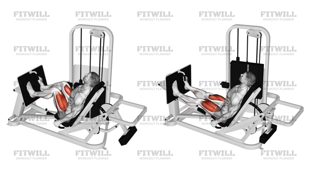 Lever leg press hotsell