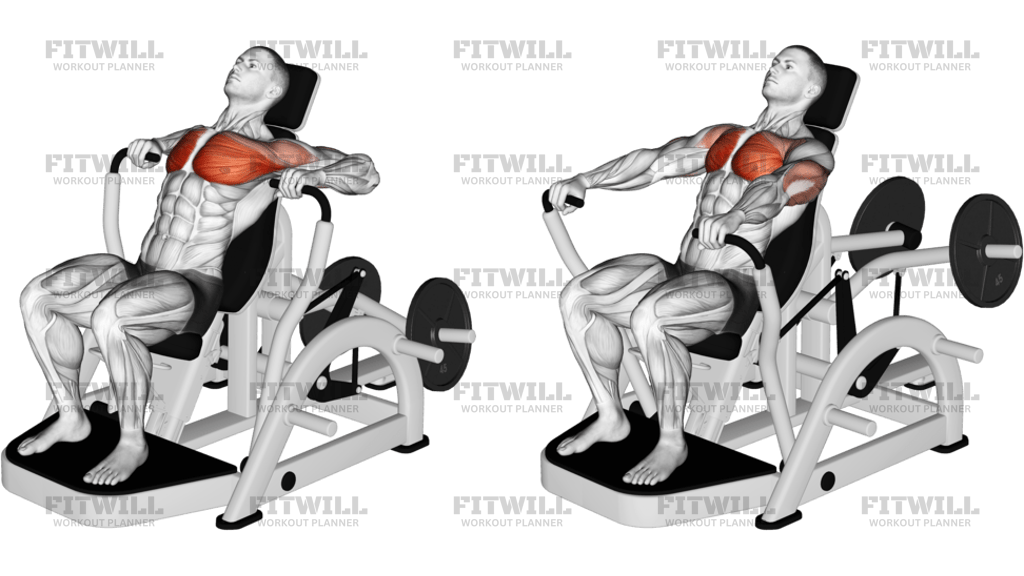 Lever Decline Chest Press Version 2
