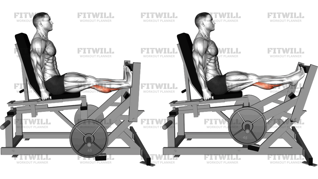 Lever Calf Press Plate Loaded