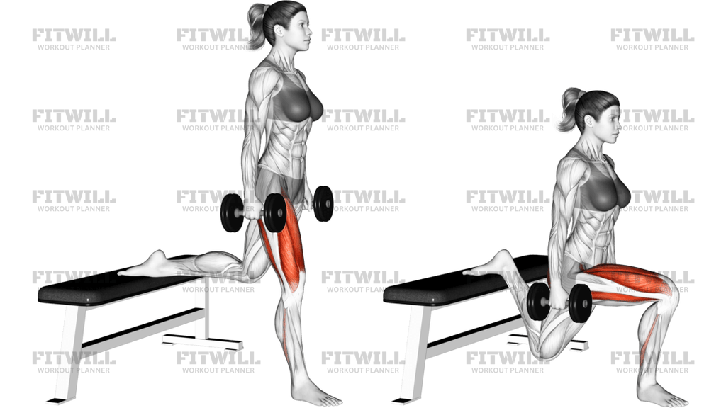 Dumbbell Bulgarian Split Squat