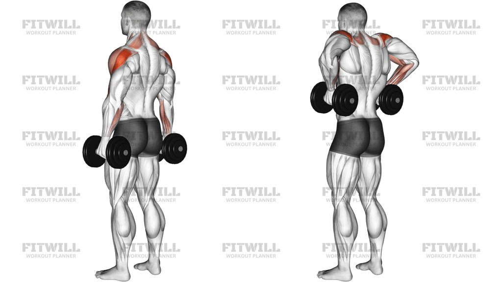 Dumbbell Rear Delt Raise