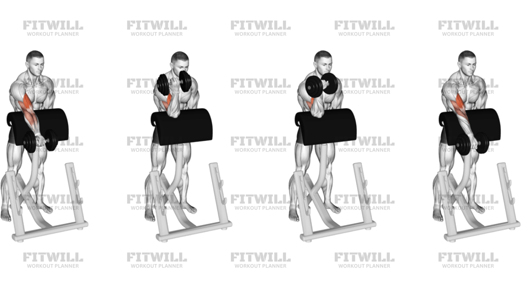 Dumbbell Standing Zottman Preacher Curl