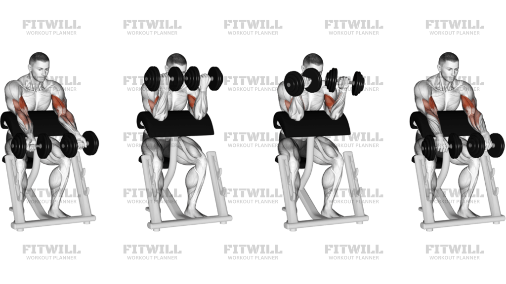 Dumbbell Zottman Preacher Curl