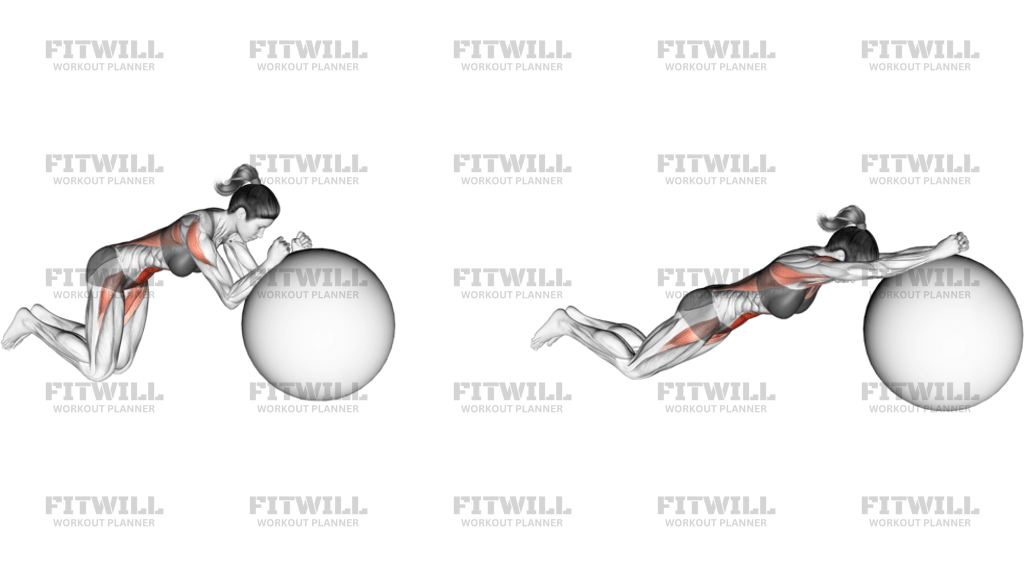 Stability Ball Rollout On Knees