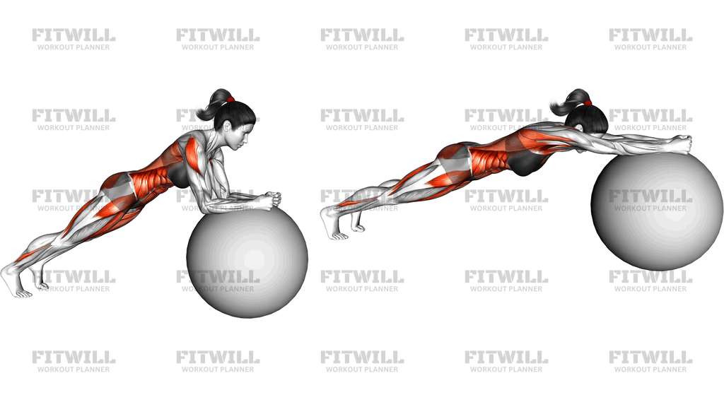 Stability Ball Rollout
