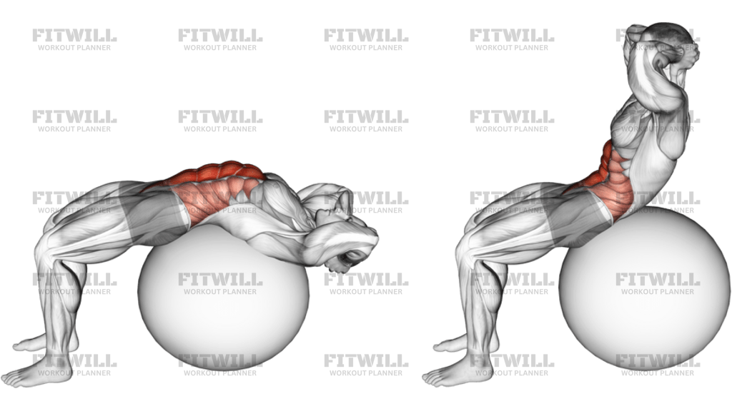 Stability Ball Crunch Full Range Hands Behind Head