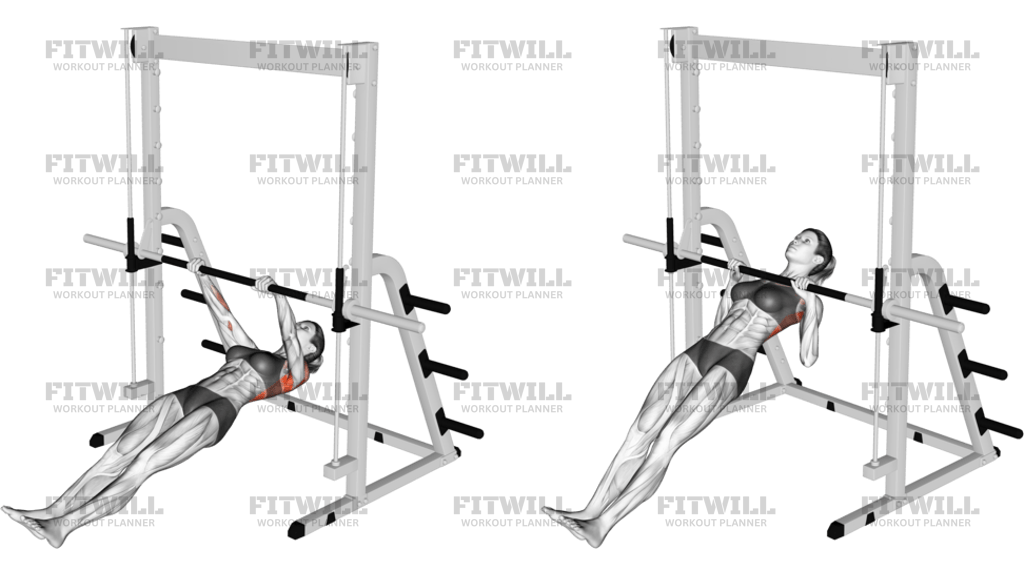 Inverted Row