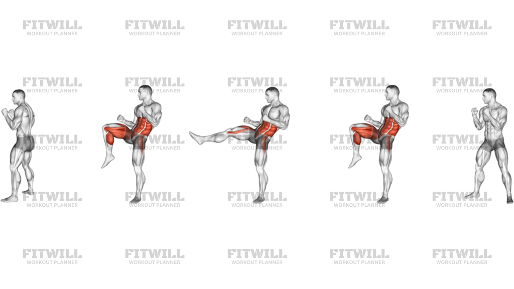 Front Groin Kick Kickboxing