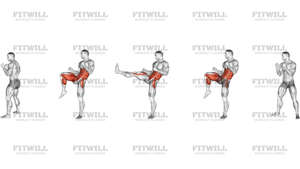 Front Snap Kick Kickboxing