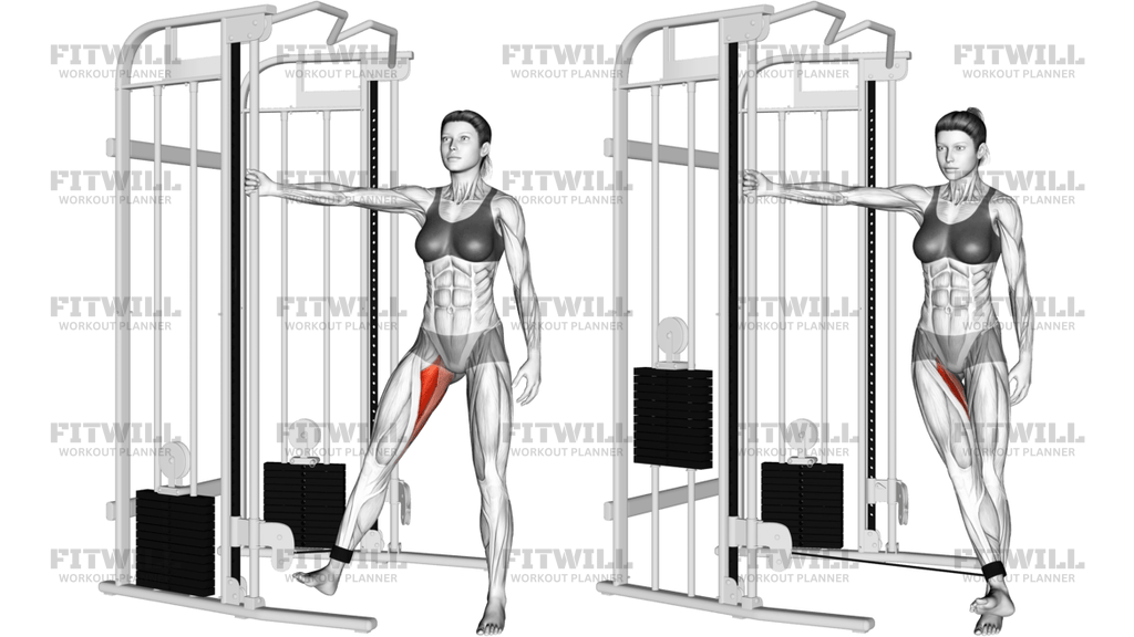 Cable Hip Adduction