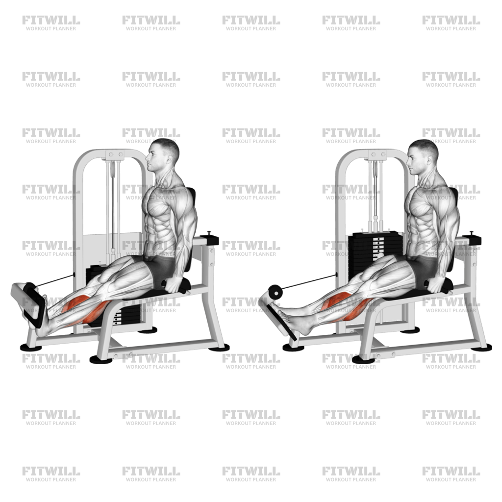 Rotary calf press hotsell