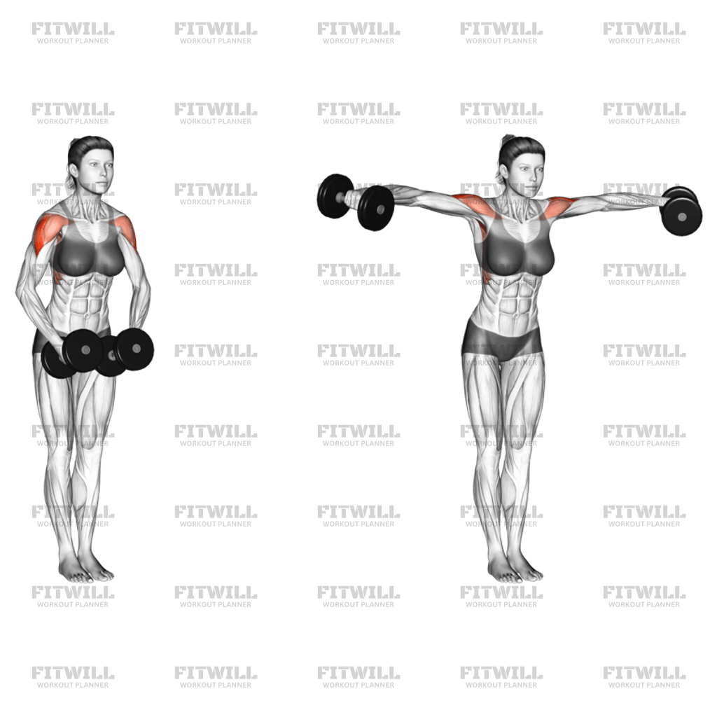 Bent arm db lateral raise cheap