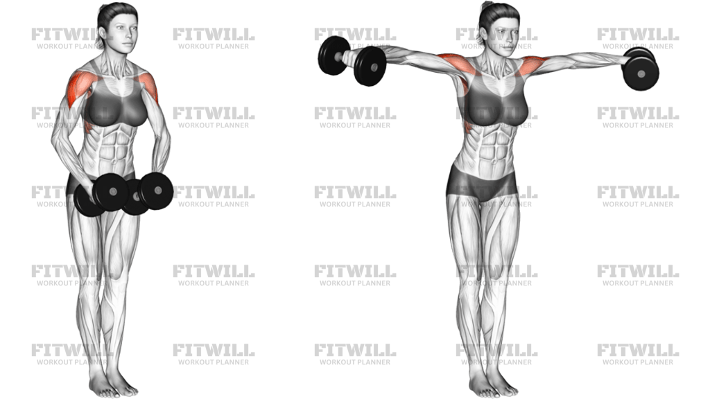 Dumbbell Standing Bent Arm Lateral Raise