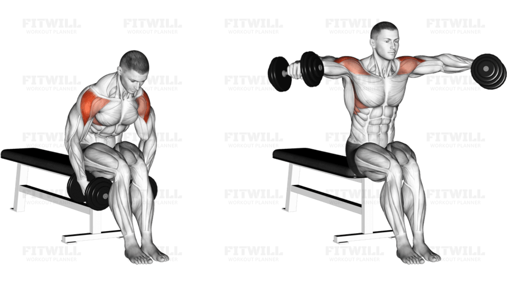 Dumbbell Seated Bent Arm Lateral raise