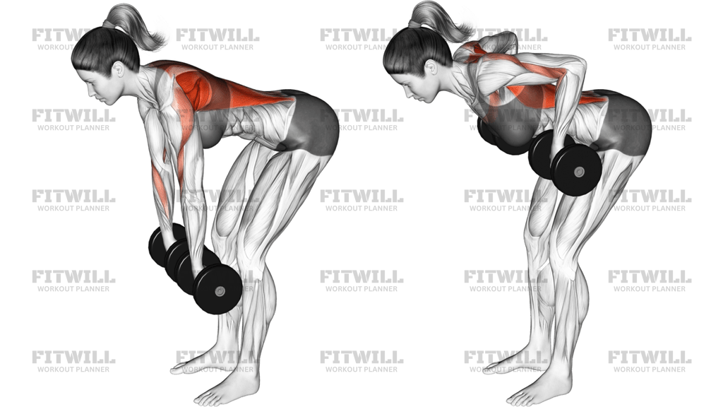 Dumbbell Pronated Grip Row