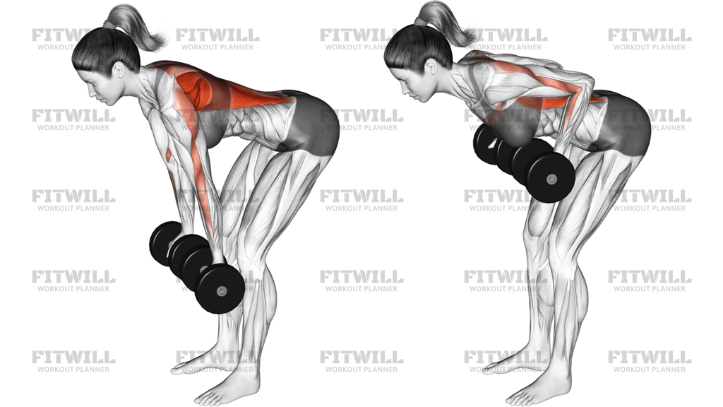 Dumbbell Reverse-Grip Row