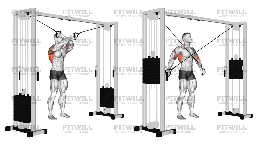 Cable Lat Pulldown Full Range Of Motion: Exercise Guide, Video ...