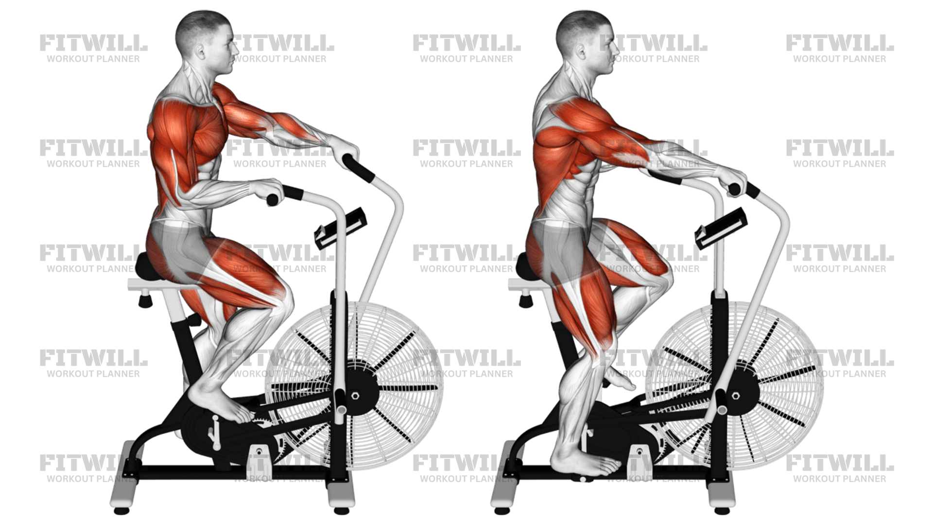 Cycle Cross Trainer Exercise Guide Techniques Benefits How to Muscles Worked Tips Tricks Fitwill